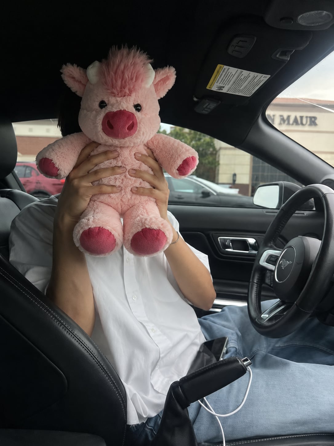 Pink Running Cub