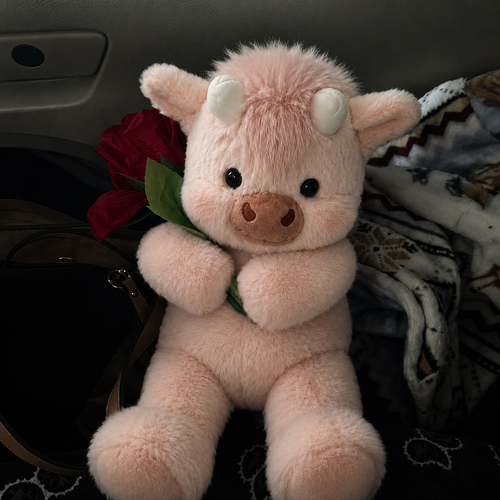 Running Cub – Pink